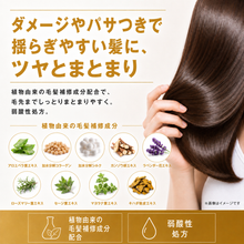 画像をギャラリービューアに読み込む, VITALISM(バイタリズム) スカルプシャンプー＆コンディショナーセット WOMEN 500ml &amp; 500g